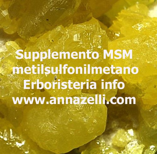supplemento MSM metilsulfonilmetano, ERBORISTERIA