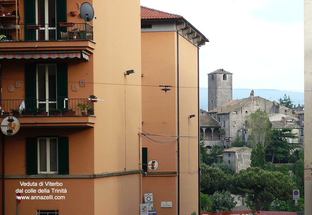 panorama di viterbo dal colle della trinità info e foto anna zelli