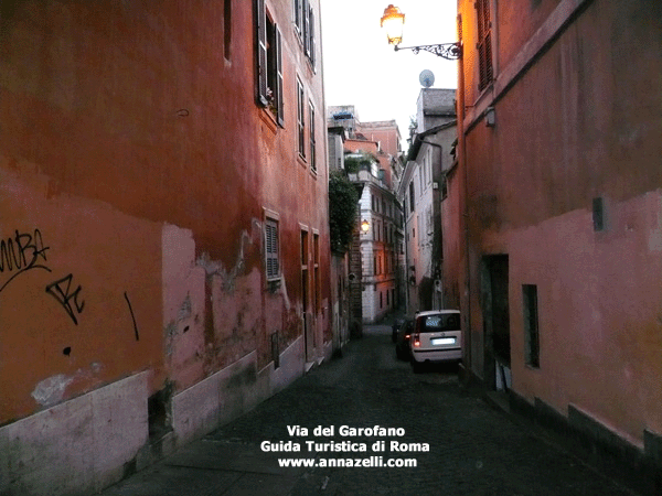 via del garofano roma