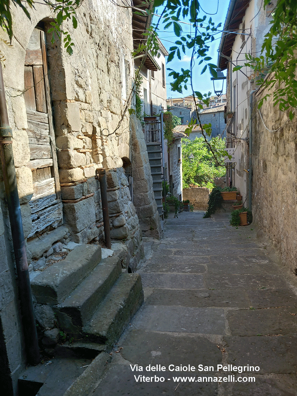 via delle caiole san pellegrino viterbo info e foto anna zelli