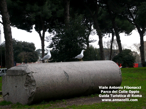 viale antonio fibonacci parco colle oppio roma