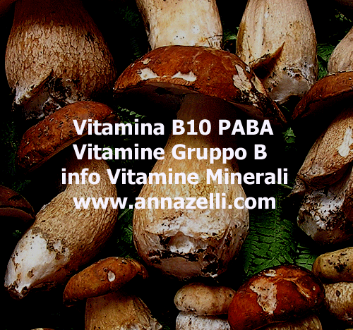 VITAMINA B10 PABA, ERBORISTERIA
