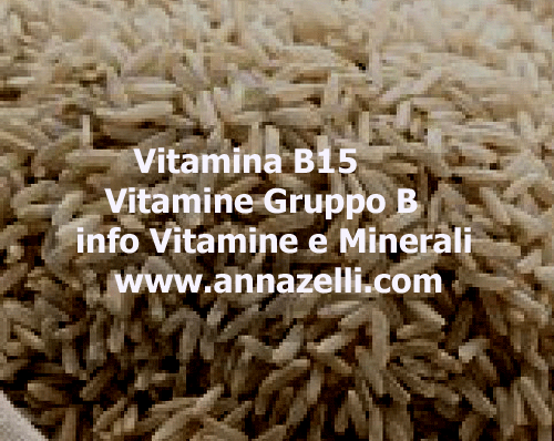VITAMINA B15, ACIDO PANGAMICO, ERBORISTERIA