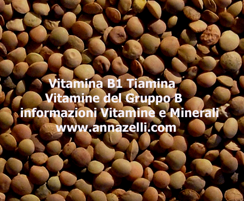 VITAMINA B1 TIAMINA, ERBORISTERIA
