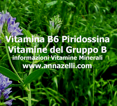 VITAMINA B6 PIRIDOSSINA, ERBORISTERIA