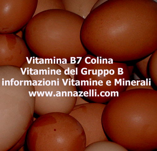 VITAMINA B7 COLINA, ERBORISTERIA