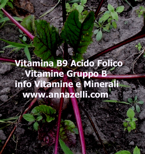 VITAMINA B9 ACIDO FOLICO, ERBORISTERIA
