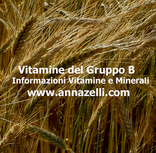 VITAMINE DEL GRUPPO B, ERBORISTERIA