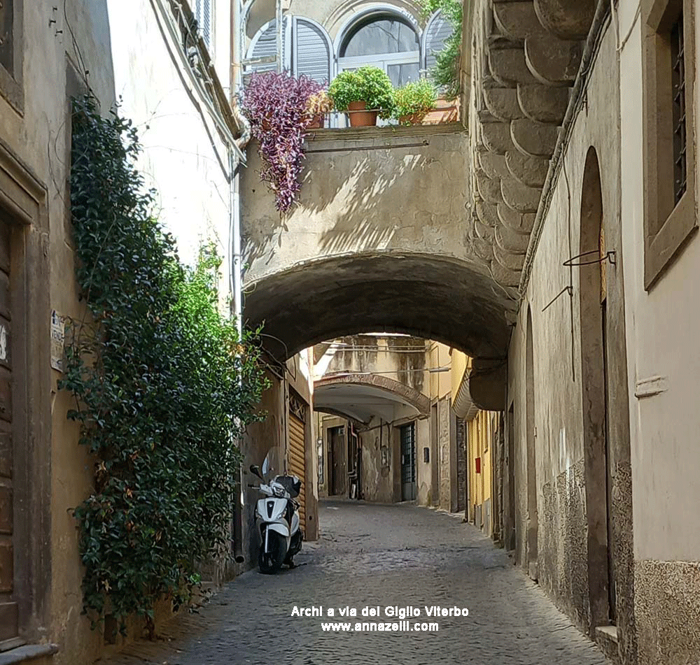 archi a via del giglio viterbo info e foto anna zelli 