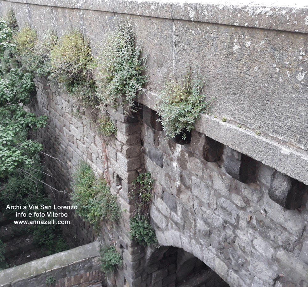 archi a via san lorenze viterbo info e foto anna zelli