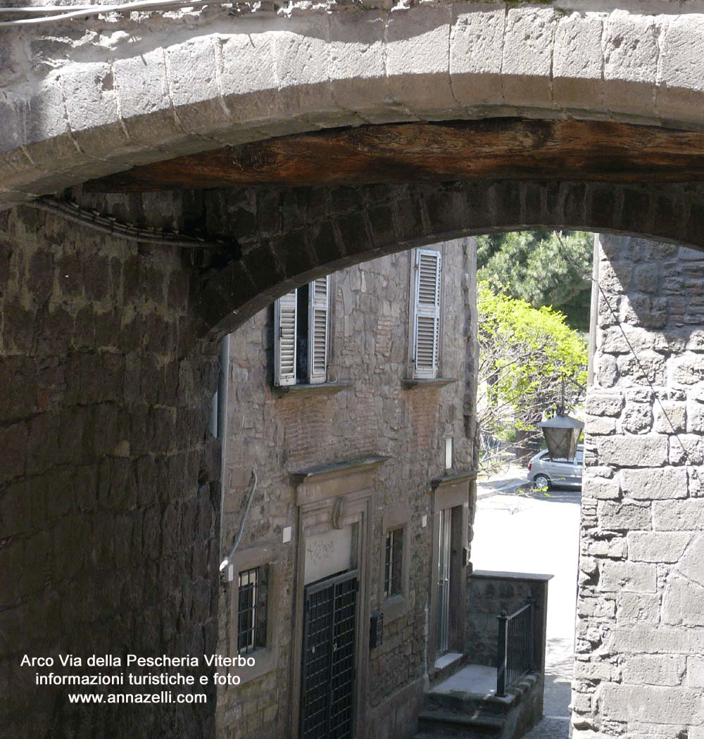 arco via della pescheria info e foto anna zelli