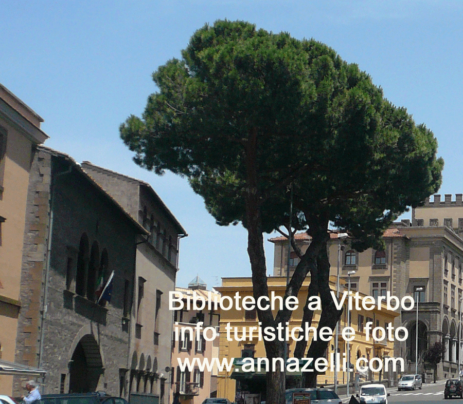 viterbo biblioteche centro storico