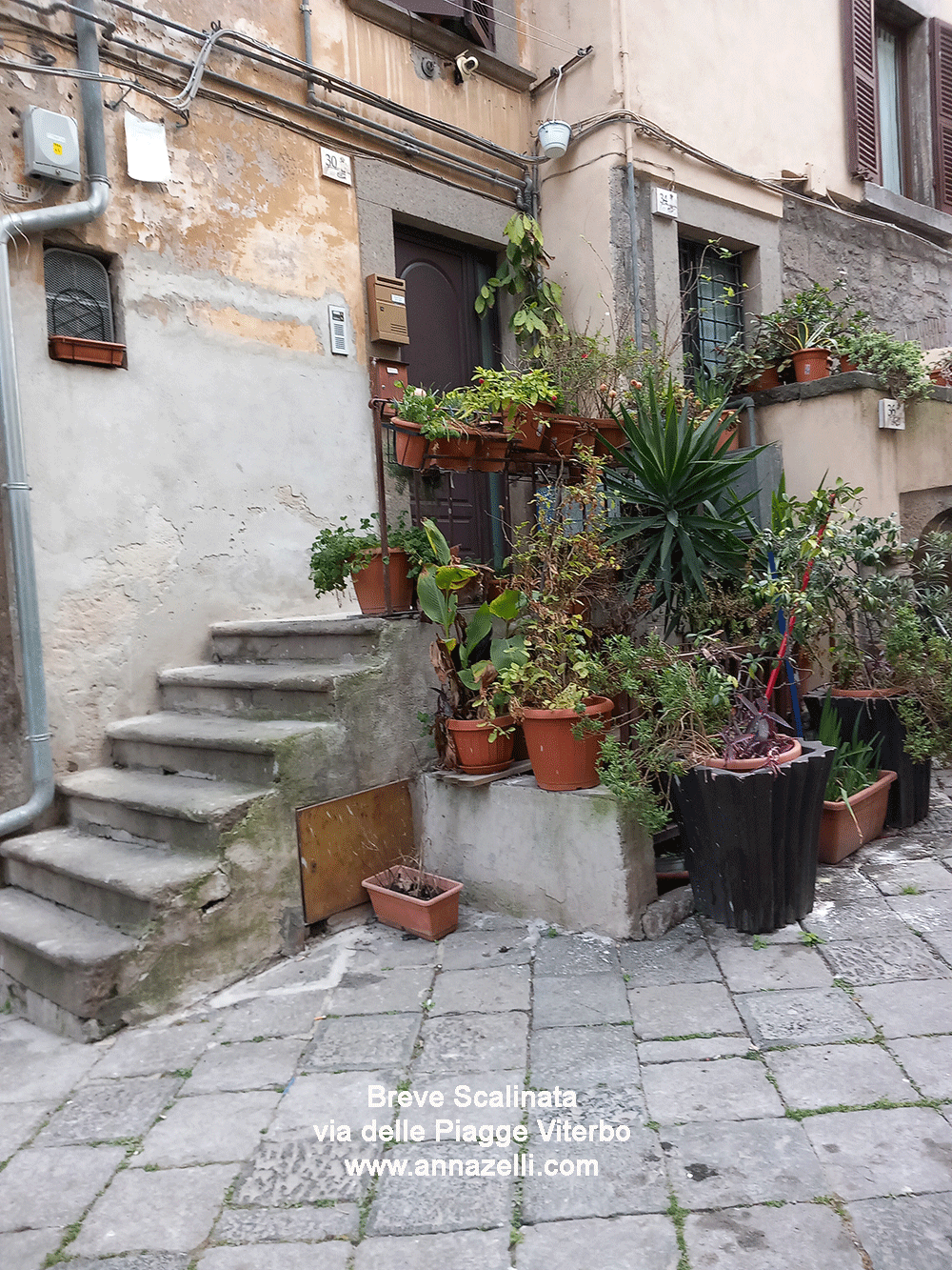profferlo e scalinata via delle piagge viterbo info e foto anna zelli