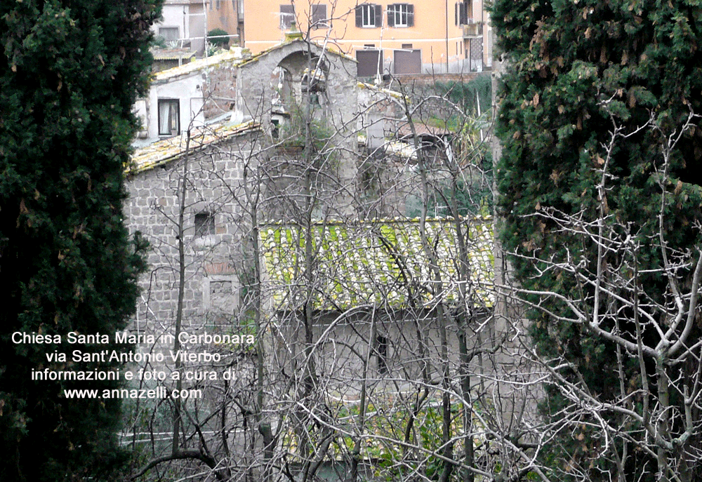 chiesa santa maria della carbonara via sant'antonio viterbo foto anna zelli