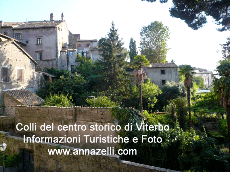 colli del centro storico di viterbo