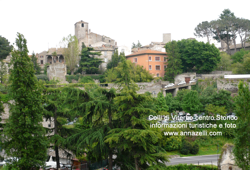 colli di viterbo centro storico info e foto anna zelli