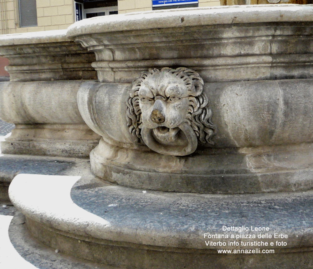 dettaglio leone fontana piazza delle erbe viterbo centro storico info foto anna zelli