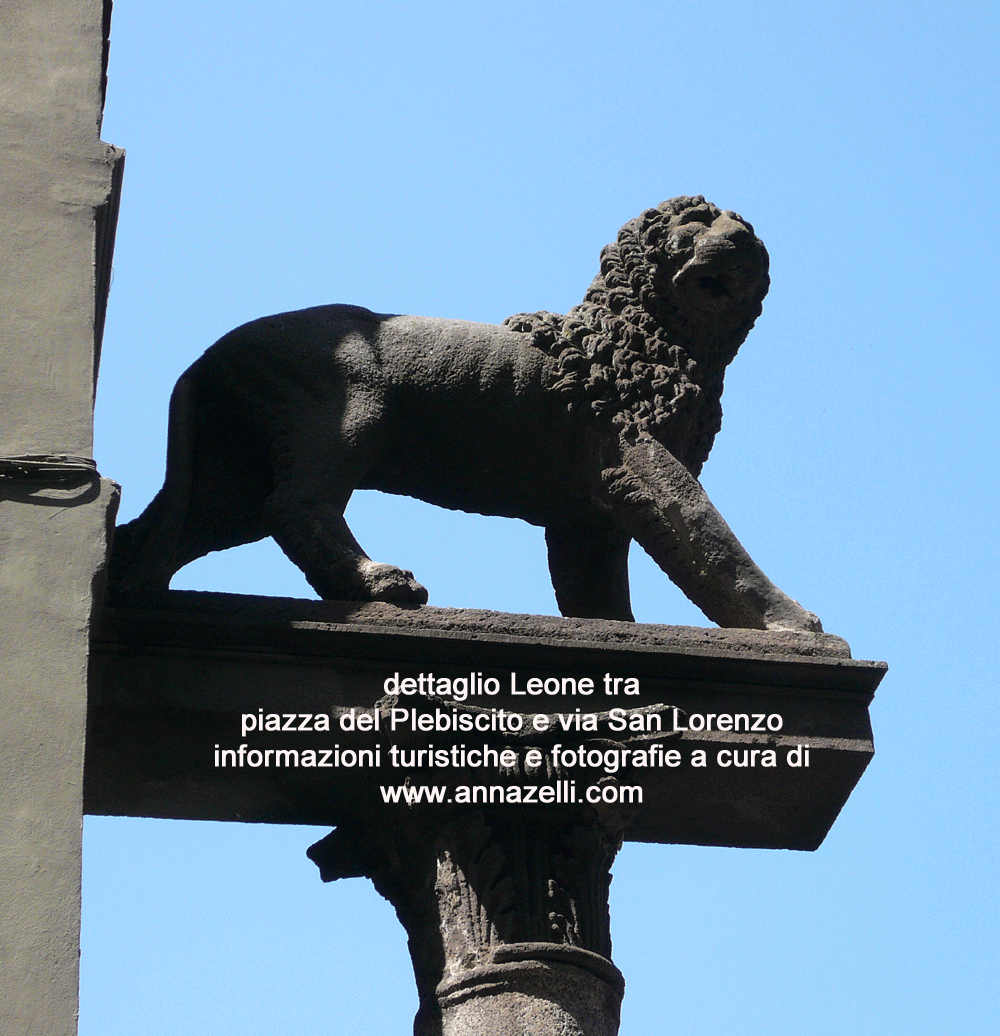 dettaglio leone tra piazza del plebiscito e via san lorenzo foto anna zelli