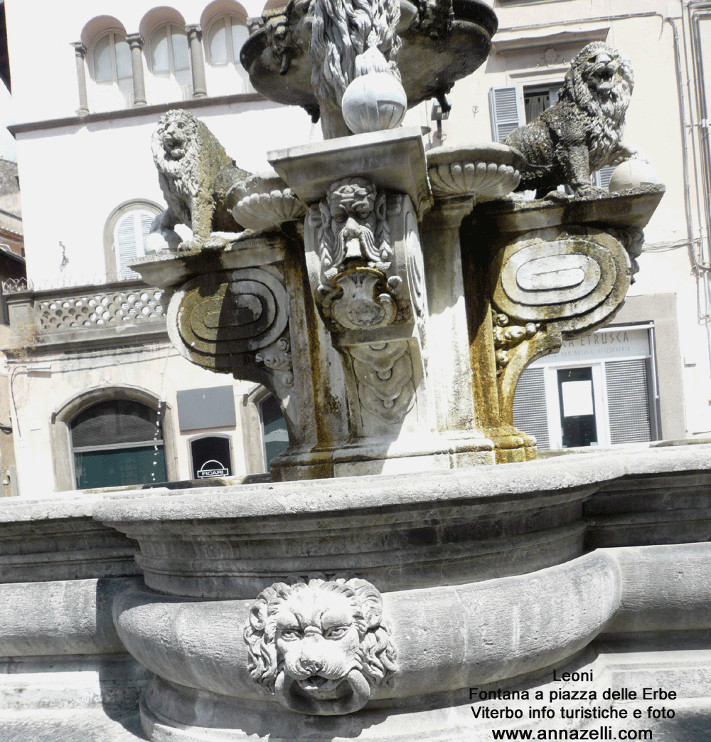 dettaglio leoni fontana piazza delle erbe viterbo centro storico info foto anna zelli