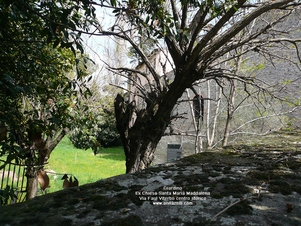 giardino ex chiesa santa maria maddalena via faul viterbo info e foto anna zelli