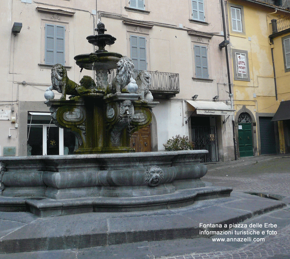 fontana piazza delle erbe viterbo centro storico info foto anna zelli
