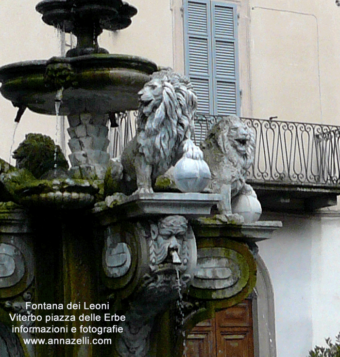 fontana dei Leoni piazza delle erbe centro storico info foto