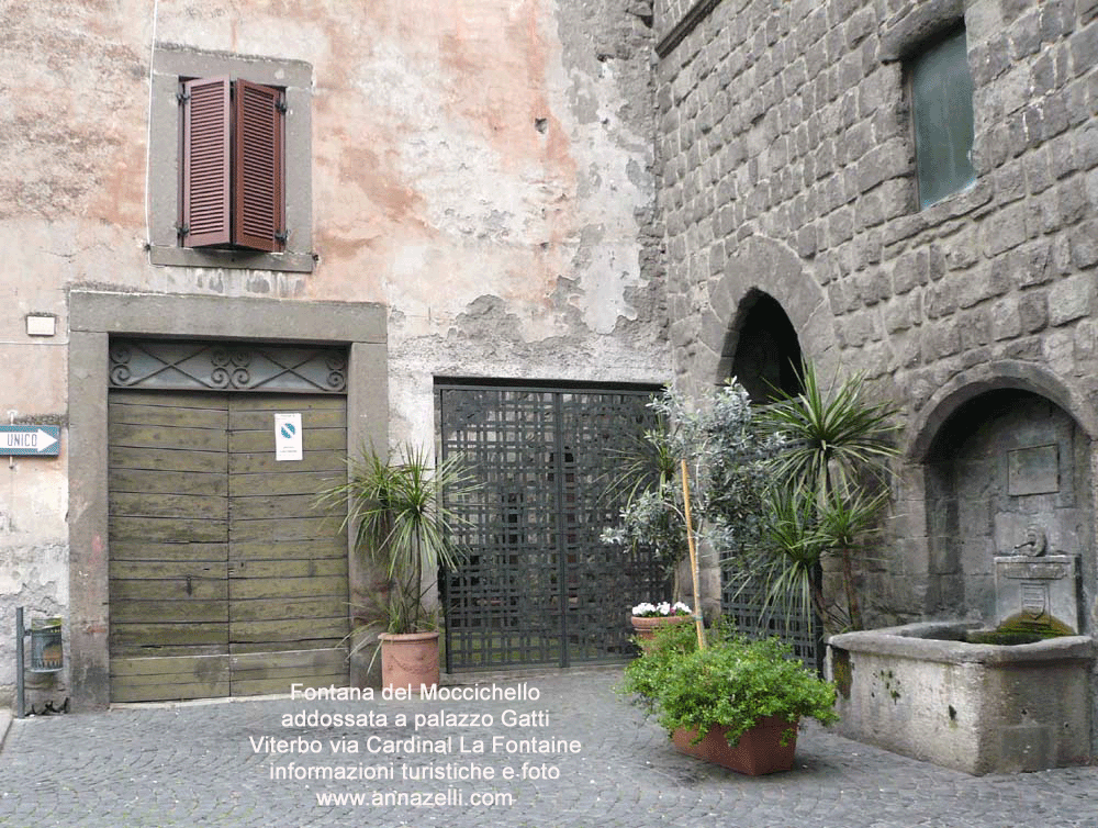 fontana del moccichello al palazzo gatti via cardinal la fontaine viterbo foto anna zelli