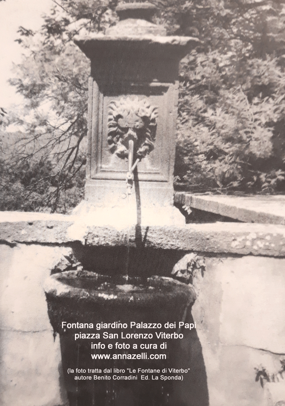 fontana giardino palazzo dei papi piazza san lorenzo viterbo
