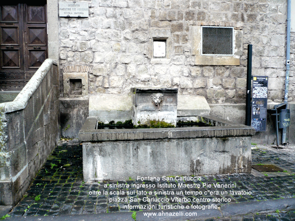 fontana del salvatore a piazza san carluccio viterbo centro storico info e foto anna zelli