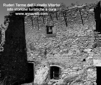 foto terme dell'asinello viterbo ruderi