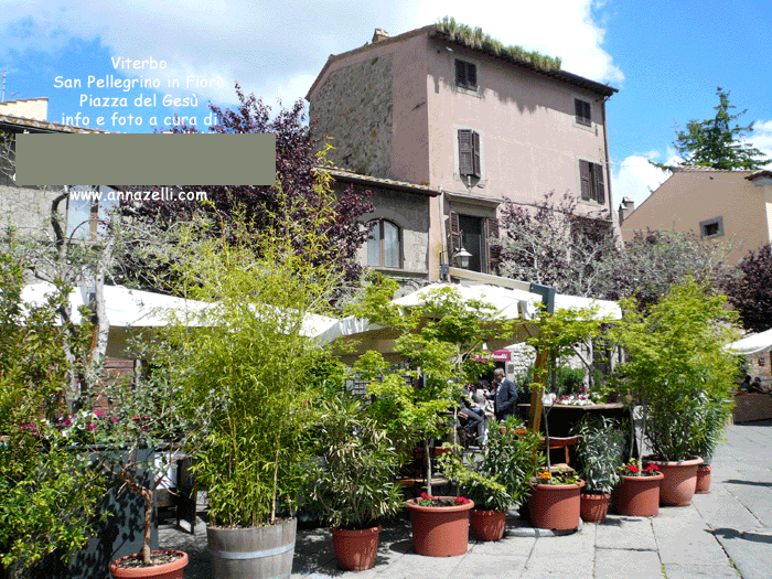 viterbo foto san pellegrino in fiore piazza del gesu anna zelli 12