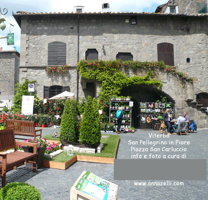 viterbo foto san pellegrino in fiore piazza san carluccio anna zelli 5