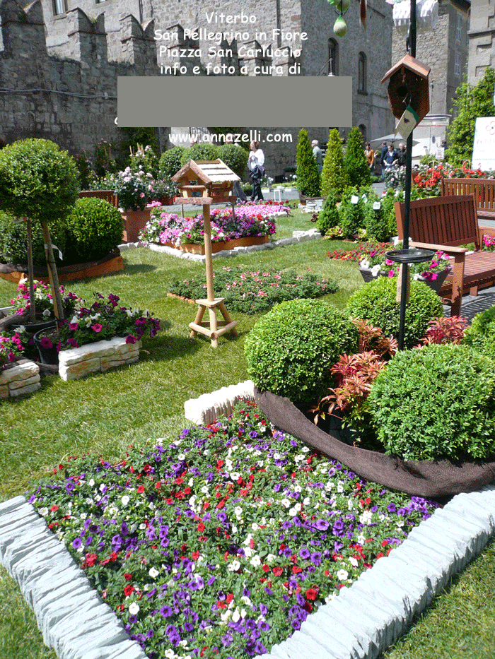 viterbo foto san pellegrino in fiore piazza san carluccio anna zelli 6