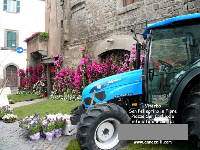 viterbo foto san pellegrino in fiore piazza san carluccio anna zelli 5