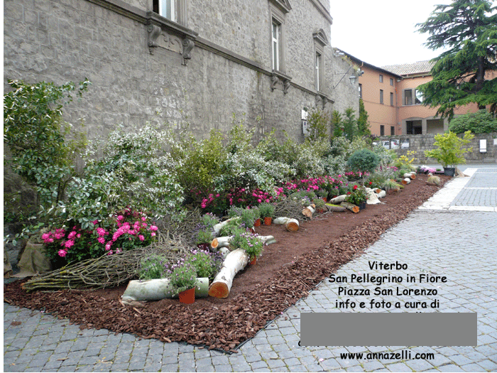 viterbo foto san pellegrino in fiore piazza san lorenzo anna zelli_9