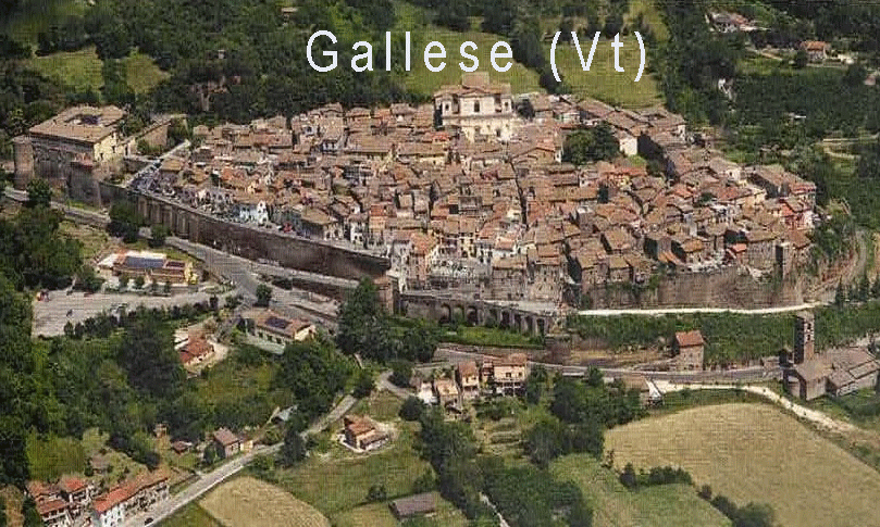 viterbo gallese