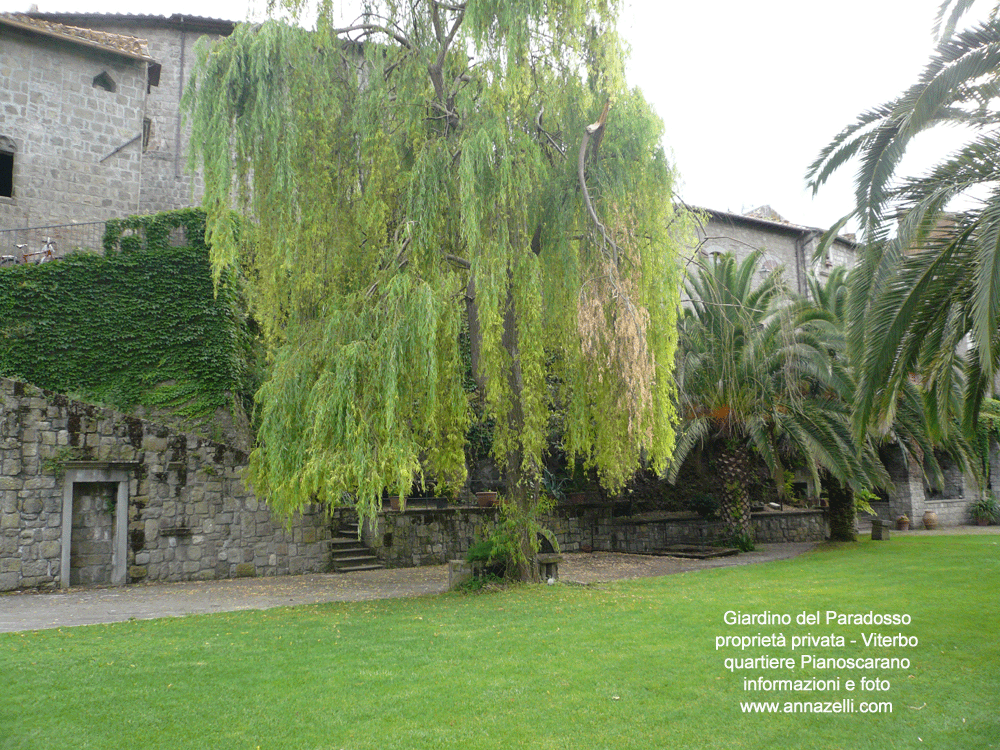 giardino del paradosso viterbo pianoscarano centro storico info e foto anna zelli 18