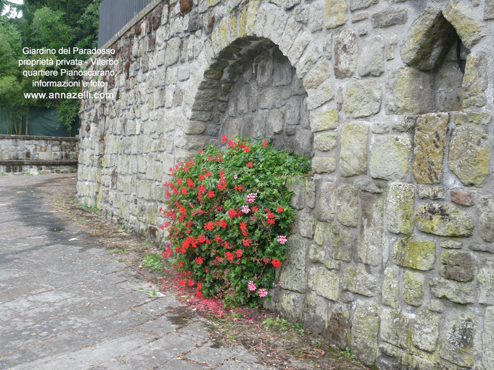 giardino del paradosso viterbo pianoscarano centro storico info e foto anna zelli 25