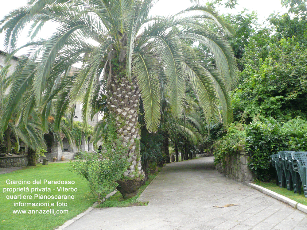 giardino del paradosso viterbo pianoscarano centro storico info e foto anna zelli 27
