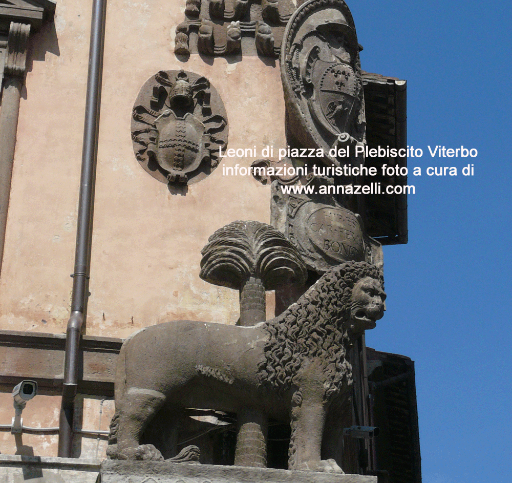 viterbo i leoni di piazza del plebiscito o del comune