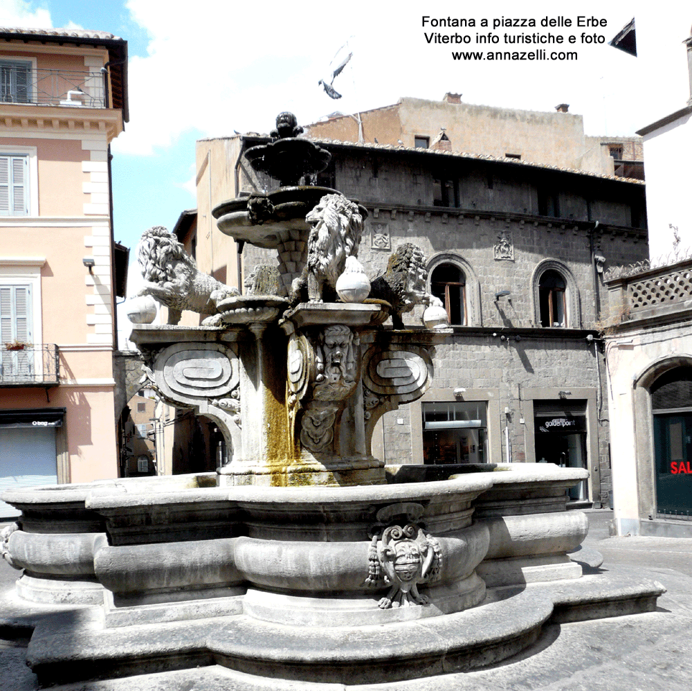 la fontana piazza delle erbe viterbo centro storico info foto anna zelli