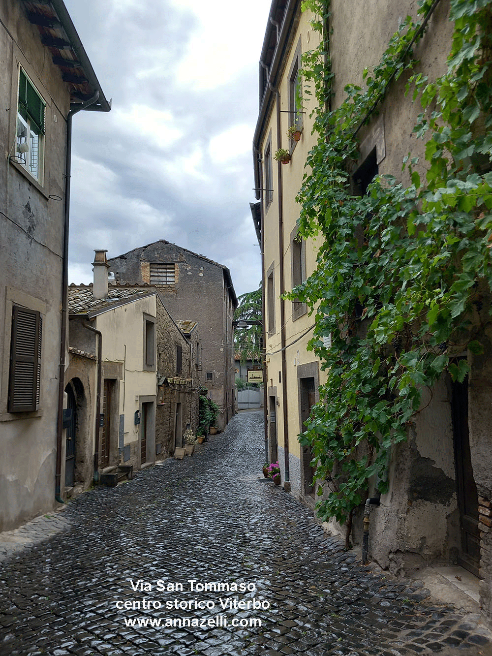 via san tommaso viterbo centro storico info e foto anna zelli