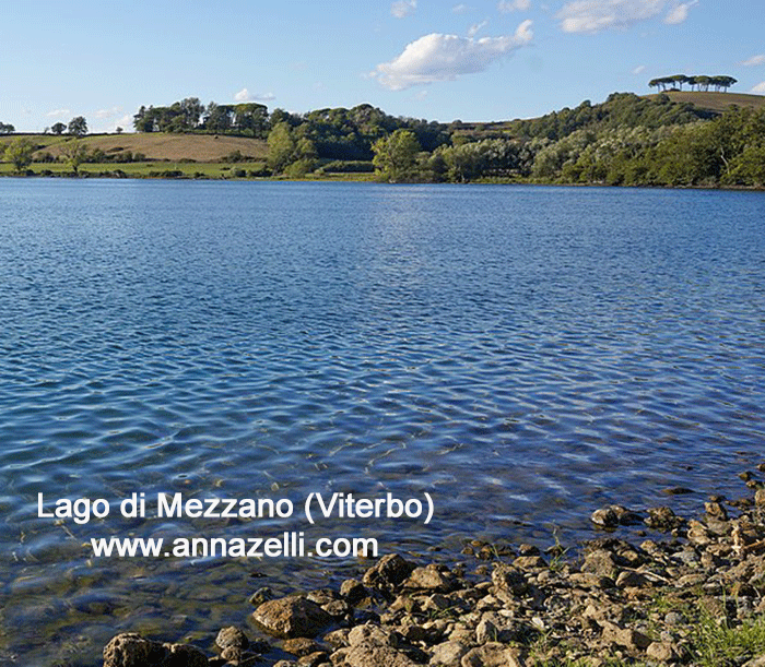 lago di mezzano viterbo