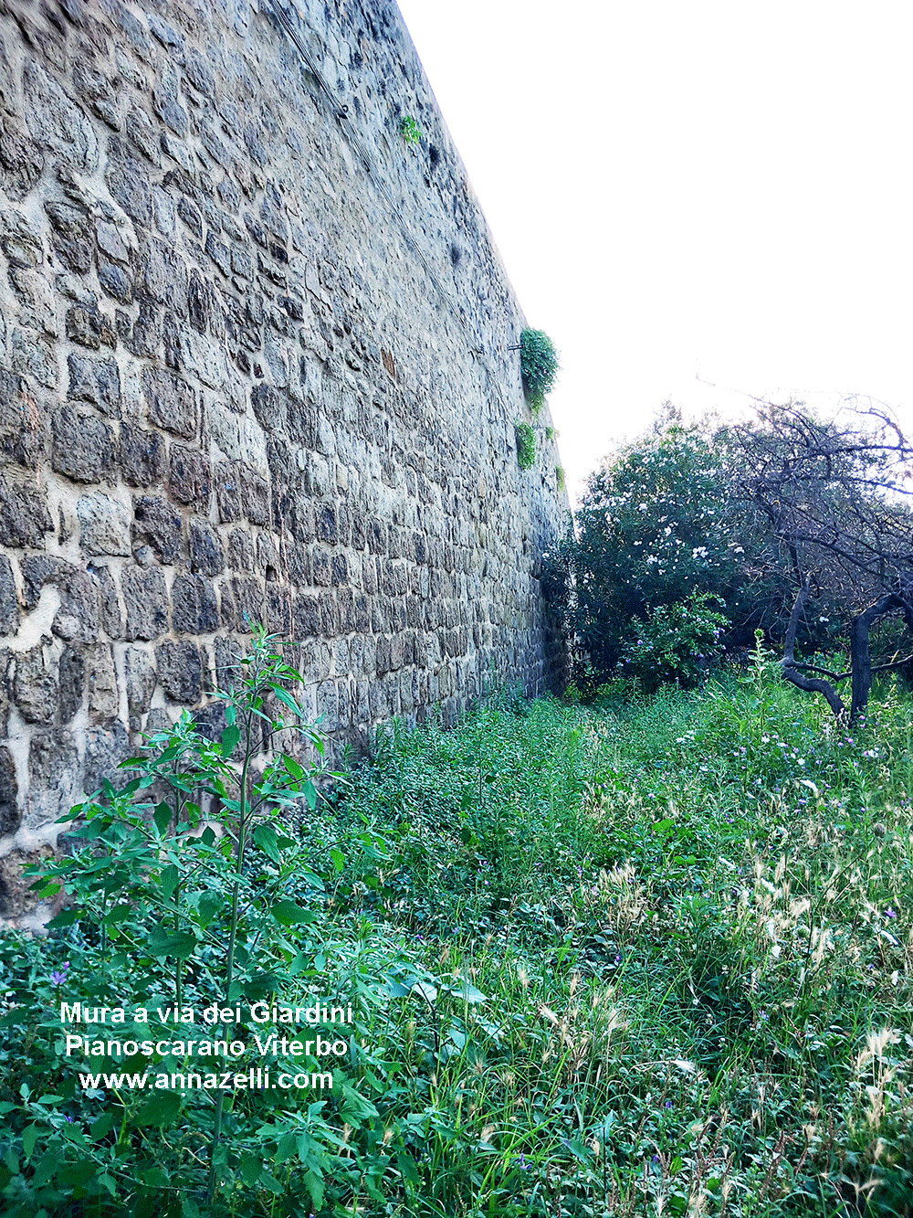 le mura a via dei giardini pianoscarano viterbo