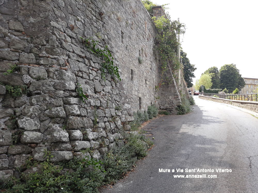 mura a via sant'antonio viterbo info e foto anna zelli 3