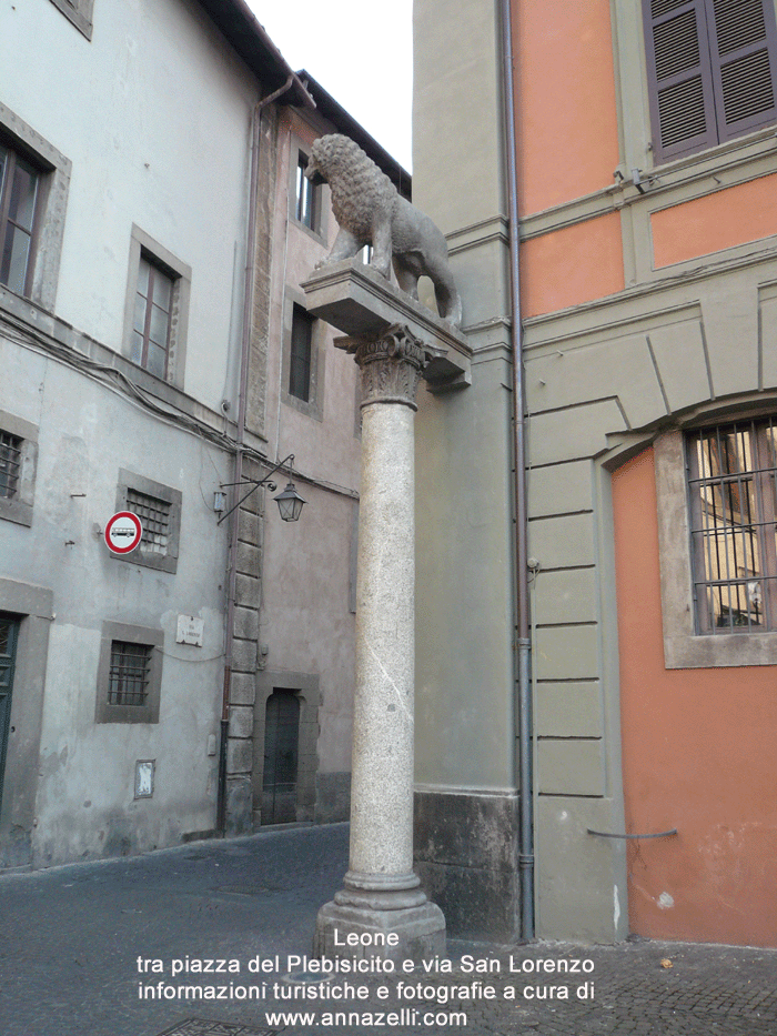 leone a piazza del plebisicito lato via san lorenzo viterbo foto anna zelli