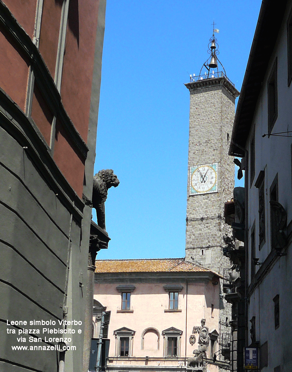 simbolo del leone tra piazza del plebisicito e via san lorenzo viterbo info e foto anna zelli