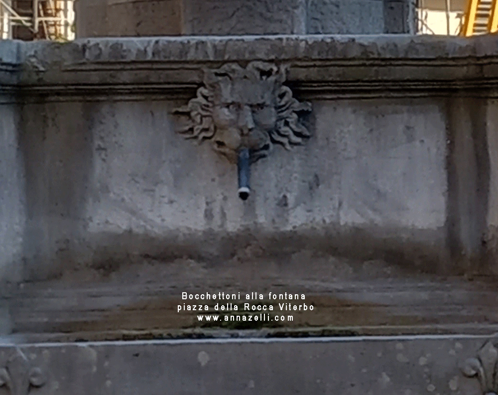 leone simbolo di viterbo fontana a piazza della rocca viterbo info e foto anna zelli