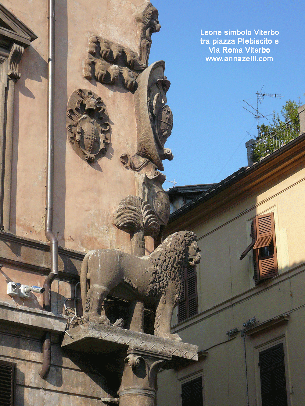 leone simbolo di viterbo tra piazza del plebiscito e via roma viterbo centro info e foto anna zelli