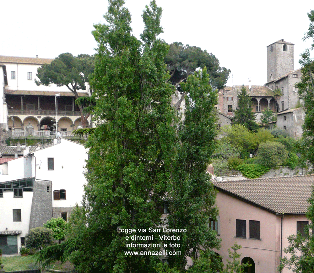 logge via san lorenzo e dintorni viterbo centro storico info e foto anna zelli